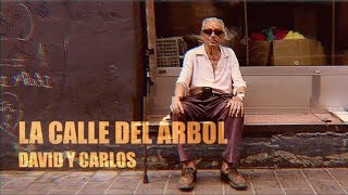 Videoclip - La Calle Del Árbol