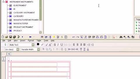 Uniface 9 - Integrated Web Development (Demo)