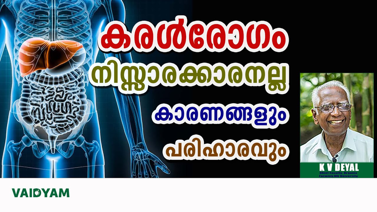 കരൾരോഗം നിസ്സാരക്കാരനല്ല | LIVER DISEASE #kvdayal #malayalam #vaidyam