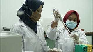 HEAL Fisheries - Healthy Ecosystem & Alternative Livelihood | Alam Siak Lestari