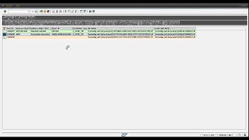 Barcode Reader Scan Server for SAP Netweaver von CaRD