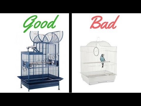 good-vs-bad-bird-cages