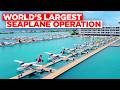 Flying in the maldives  worlds largest seaplane operation