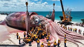 Hunting a 3,500KG Colossal Squid 2,000 Meters Deep | Deep-Sea Fishing Documentary