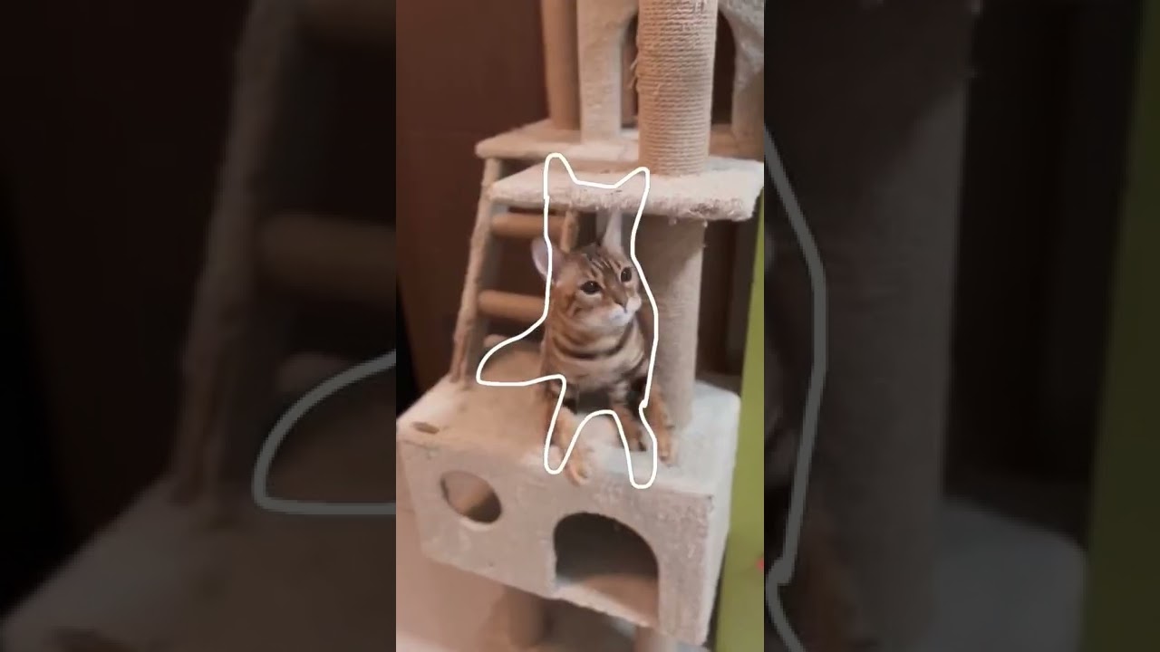 outline challenge 😺✌️