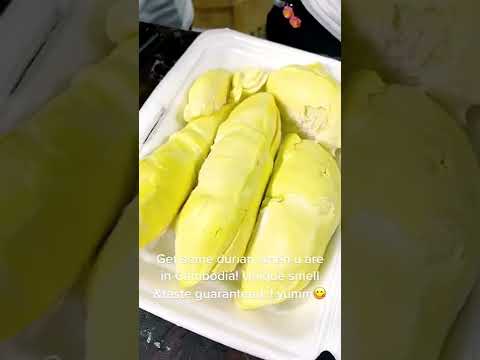 Are u durian lover?? durian cambodia