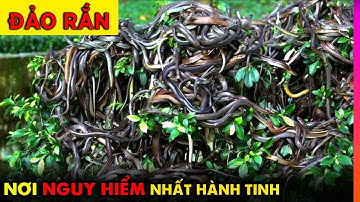 ĐẢO RẮN -  NƠI NGUY HIỂM NHẤT HÀNH TINH