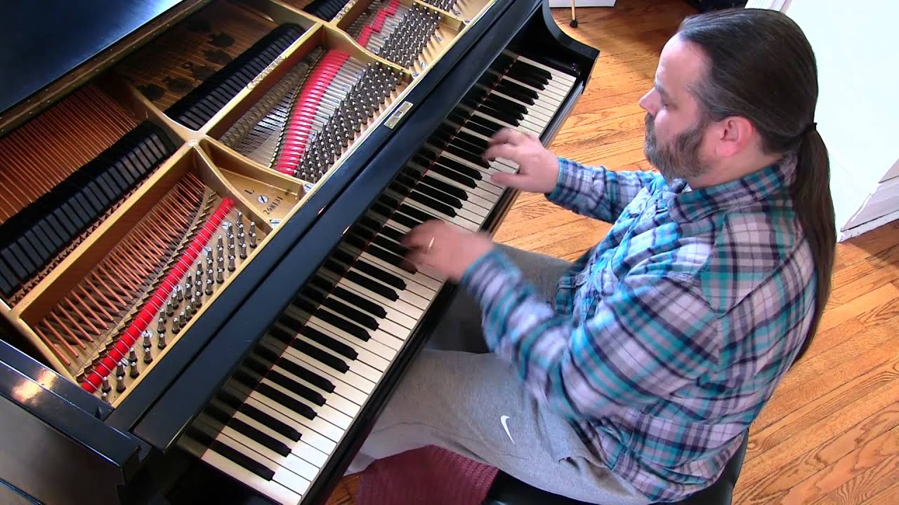 FINE AND DANDY by Charles L. Johnson Cory Hall, piano YouTube