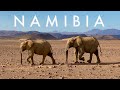 NAMIBIA | Epic landscapes + iconic animals + powerful music