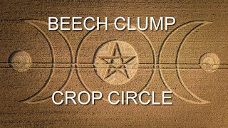 Crop Circle | Beech Clump Nr Ludwell Wiltshire | 12/07/25