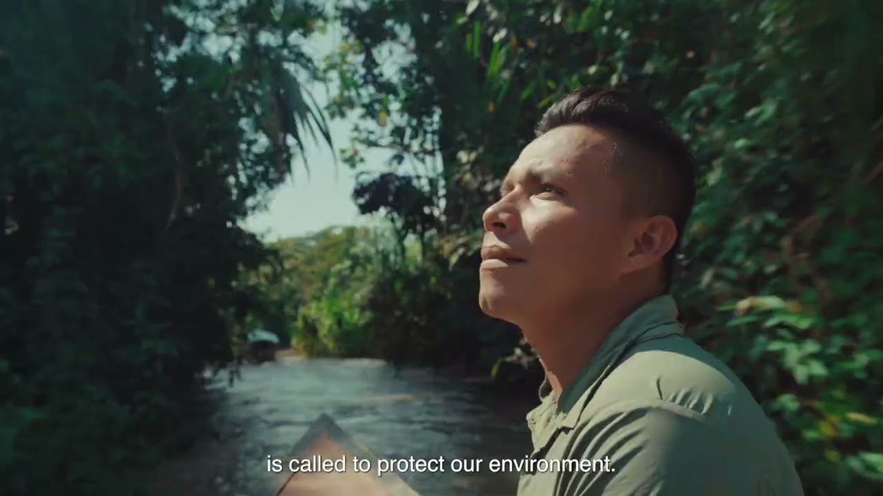 Choose Earth: Wood Wide Web trailer | PÖFF29