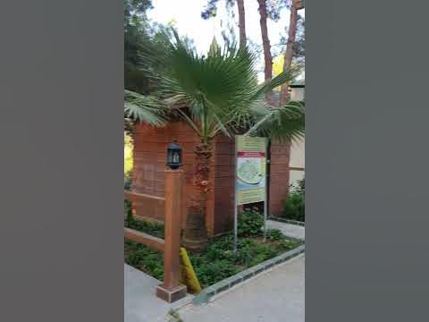 Hotel UTOPIA WORLD. Отель Утопия .Турция 2021 год - YouTube