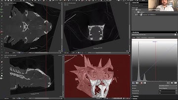 Florida Museum 3D lab VGStudioMax Tutorial: introduction