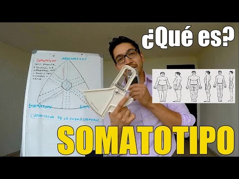 SOMATOTIPO: Lo Que