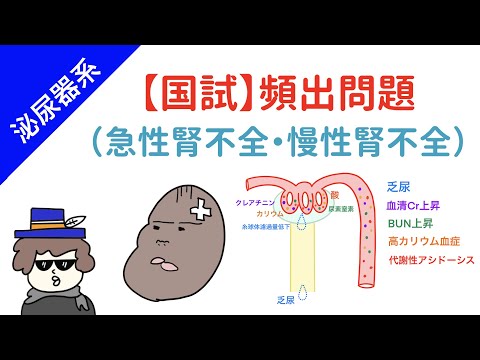 【国試対策】急性腎不全と慢性腎不全