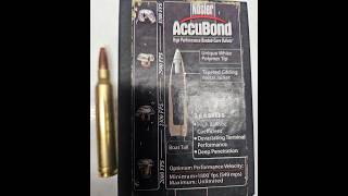 300 WINCHESTER MAGNUM BULLET TEST. 180 GRAIN NOSLER ACCUBOND AT 3100 FPS. FIRED OUT OF A WIN MOD 70