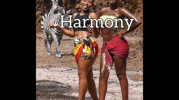 Afro Zouk instrumental 2022 "Harmony"(Kizomba x Kompa x Aya Nakamura type beat)Prod Austino G Beats