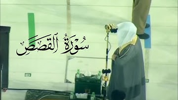 كل شيء هالك إلا وجهه - د. ياسر الدوسري يُحبر آيات مؤثرة ومبكية من سورة القصص | فجر 3-11-1442هـ