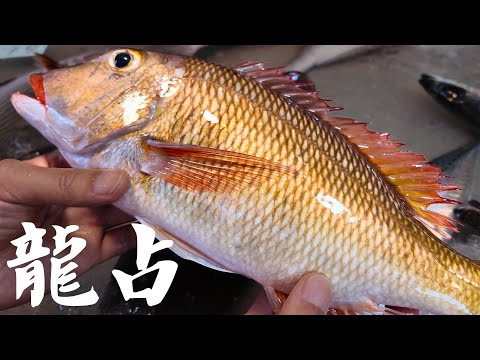 【去你家做生魚片】這次換個口味 明粵餐廳的打邊爐