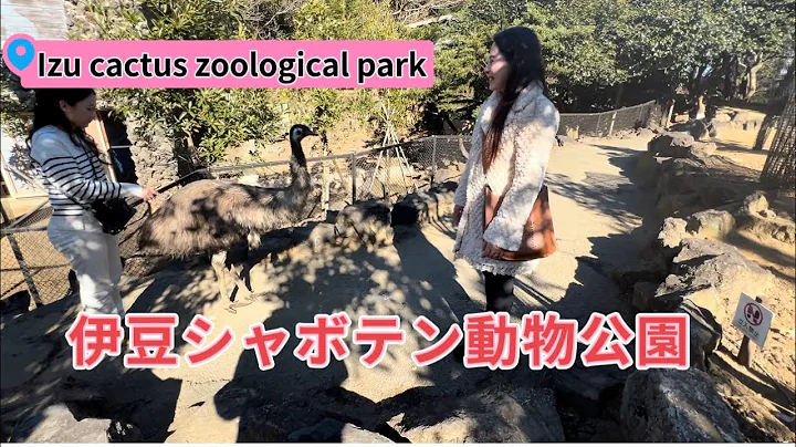 Izu cactus zoological park in Shizuoka Prefecture Japan🇯🇵