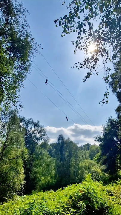 Ziplines everyday please! 🌳✨ #goape #zipline #adventure
