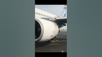 ☕️#CoolBeans | “Thrust Reversers Action!!” ✈️💨