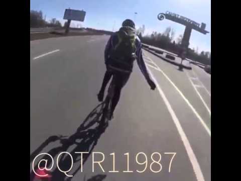 regis velo