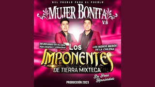 Video thumbnail of "Los imponentes de tierra Mixteca - TU MALDITO AMOR MORTAL"
