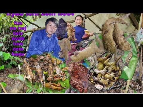 Video: Yuav ua li cas cog lub neej nyob rau hauv lub tropical rainforest?