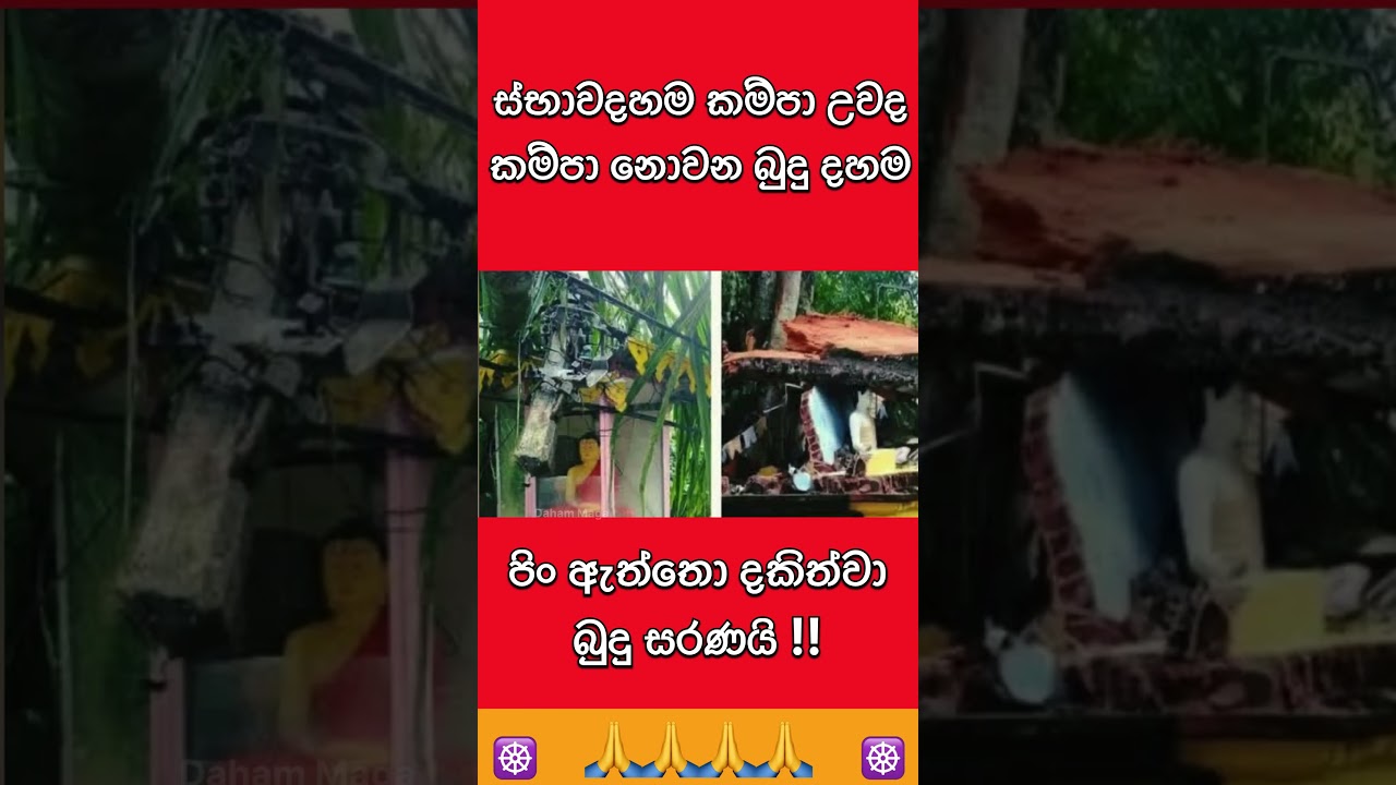 බුදු සරණයි 🙏 