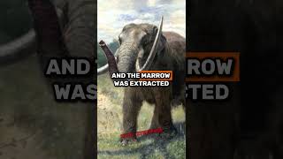 130,000-Year-Old Human Activity In America? Graham Han On The Cerruti Mastodon Site - Joe Rogan