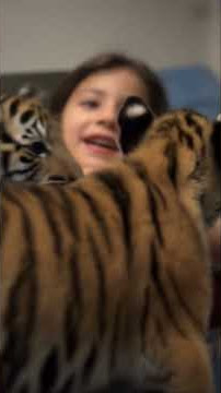 19 de noviembre de 2025