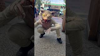 I’m just a cat at HHN 34! #hhn #hhn34 #hhnforever #halloweenhorrornights #cat #hhnorlando