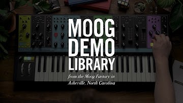 Matriarch | Round Robin Mode