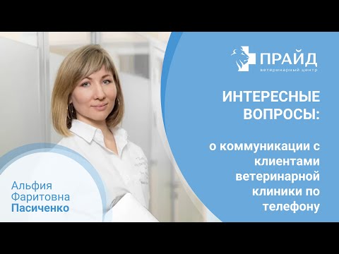 Интересные вопросы: об эффективной коммуникации с клиентами в ветеринарной клинике