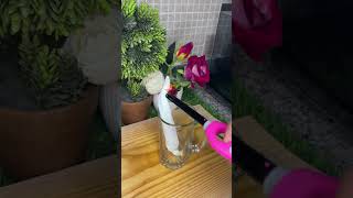 El secreto oculto de los fumigadores #reels #shorts #short #tips #shortsvideo #home #consejos #casa