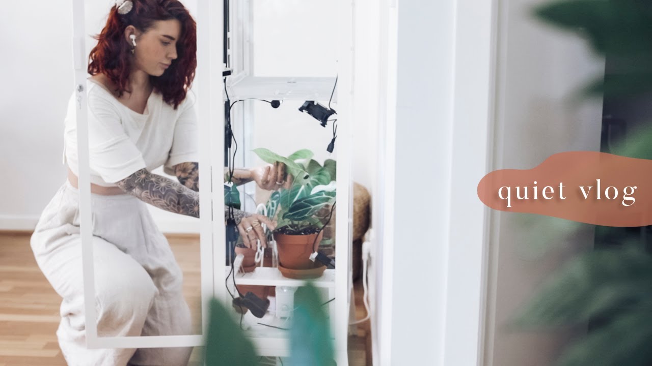 тихие дни дома 🌱 создание теплицы в помещении и здоровая кухня