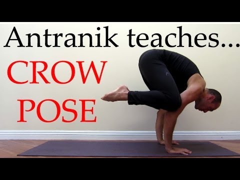 Crow Pose (Sanskrit Term: Kakasana) Crane Pose (Sanskrit Term: Bakasana) -  Better Day Yoga