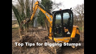 Tips for Digging Tree Stumps