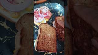 paneer sandwich #food #shubhkala rasoi