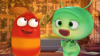 RED'S BROKEN HEART - Larva | Crazy Cartoons | WildBrain Cartoons