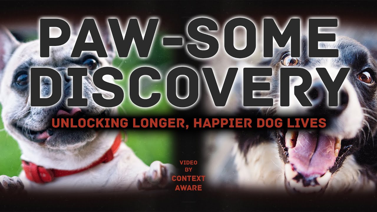 Canine Lifespan Breakthrough | Context Aware