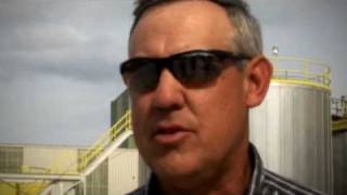 Soybeans: Food-Fuel-Feed