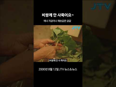 비쌍께 안 사묵어요~ 채솟값 폭등 비상사태...