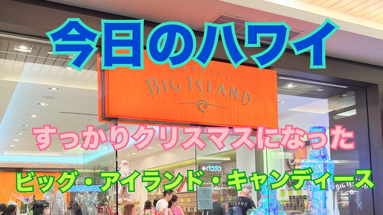 penny holiday ハワイアン　稀少品 penny holiday ハワイアン 稀少品 ハワイ旅行のためのハワイ限定アイテム