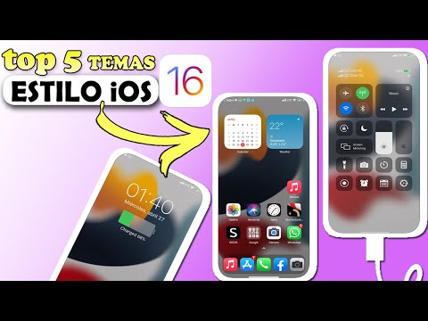 TOP 5 TEMAS
