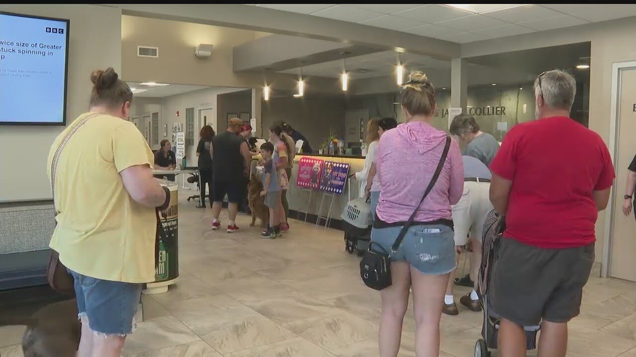 Low cost Pet Vaccine Clinic Held At Angels For Animals YouTube Low cost Pet Vaccine Clinic Held At Angels For Animals YouTube