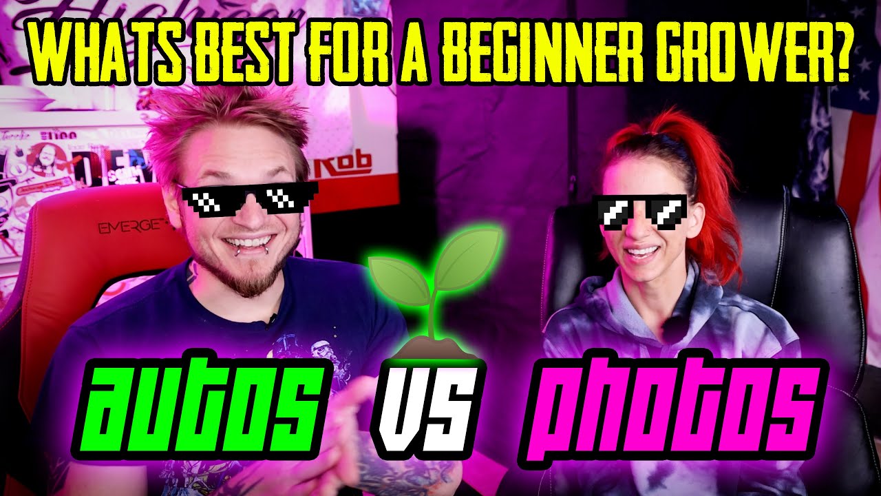 Авто против фотографий! Что лучше для начинающего гровера?