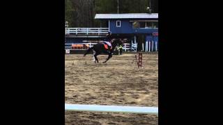 Magic Survivor 2015-05-09 110 Tierp