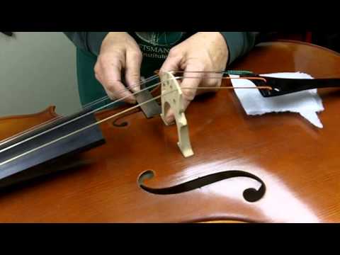 How to Set Up a Bridge on a Cello
